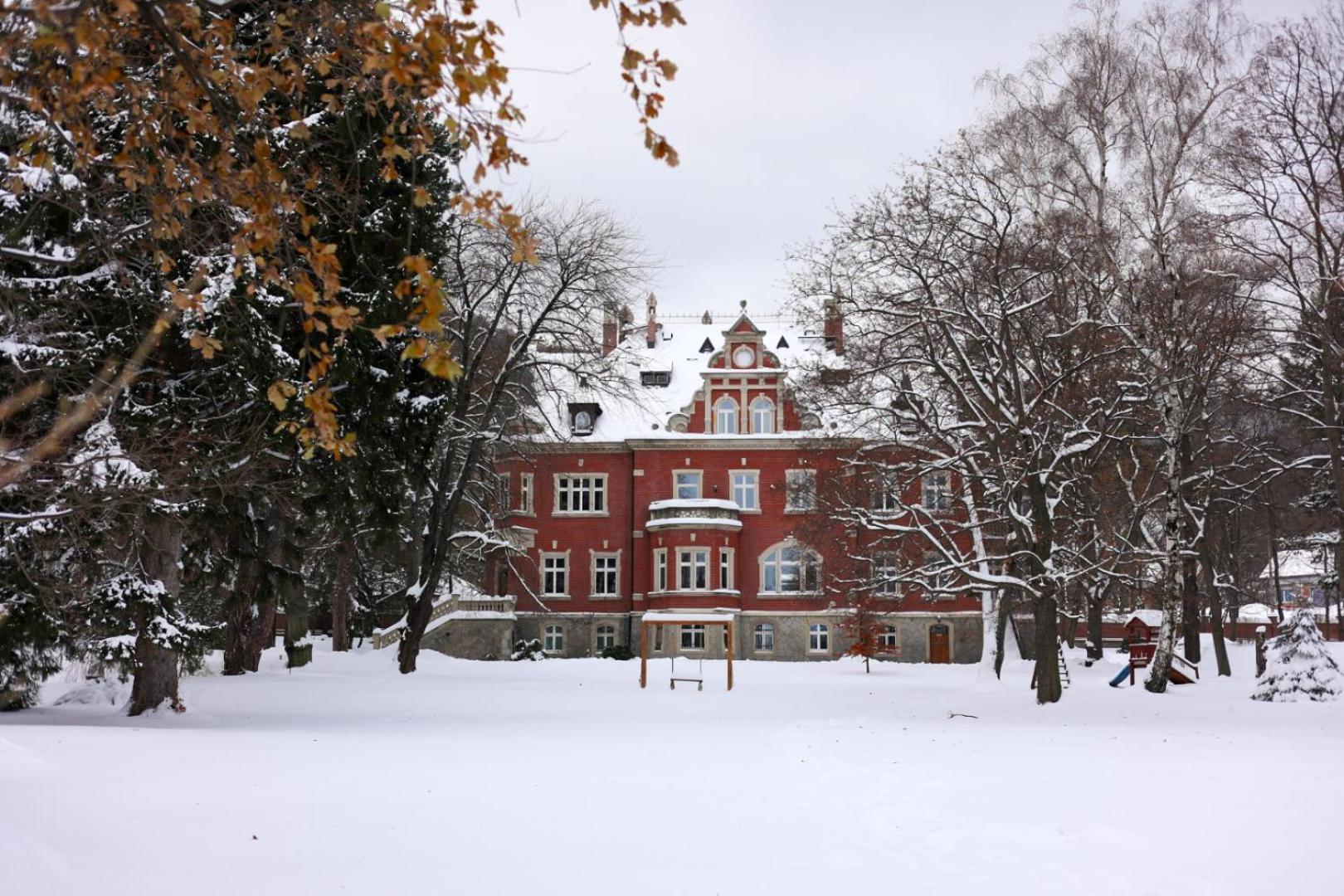 Hotel Debowy Biowellness & Spa Gory Sowie Bielawa  Eksteriør billede